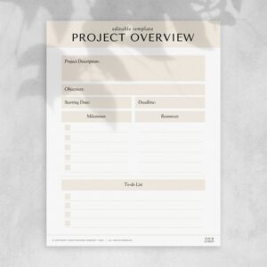 Project Overview